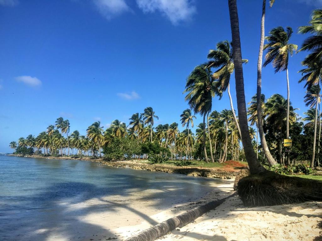 Villa La Caleta Las Galeras Extérieur photo