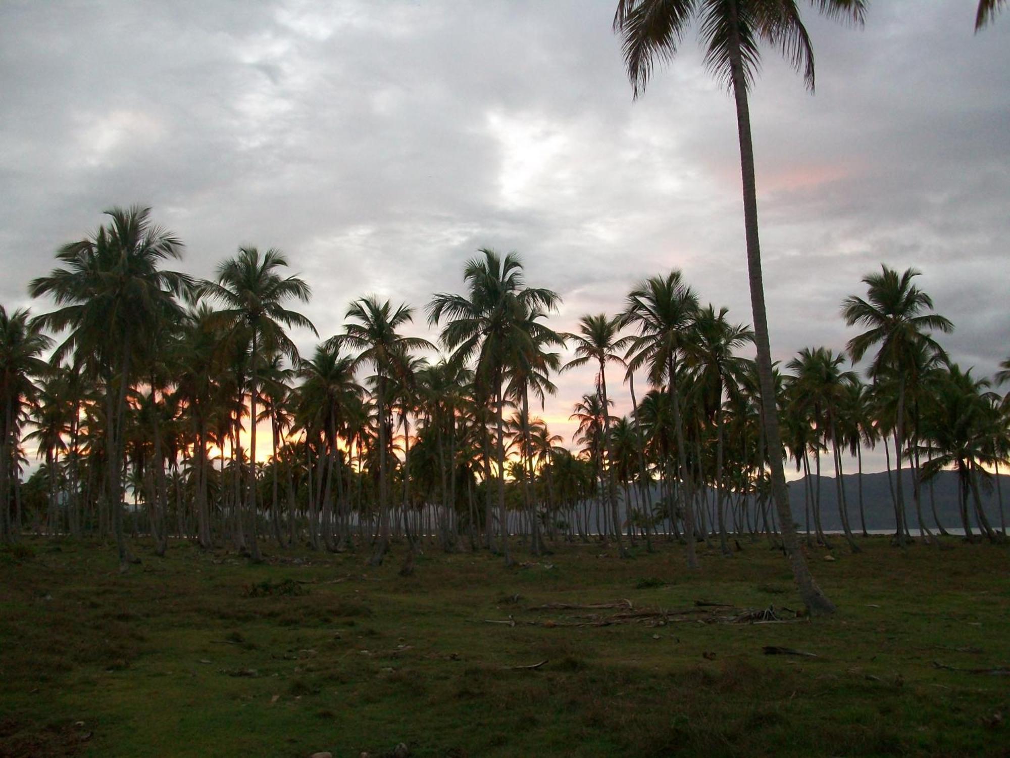 Villa La Caleta Las Galeras Extérieur photo