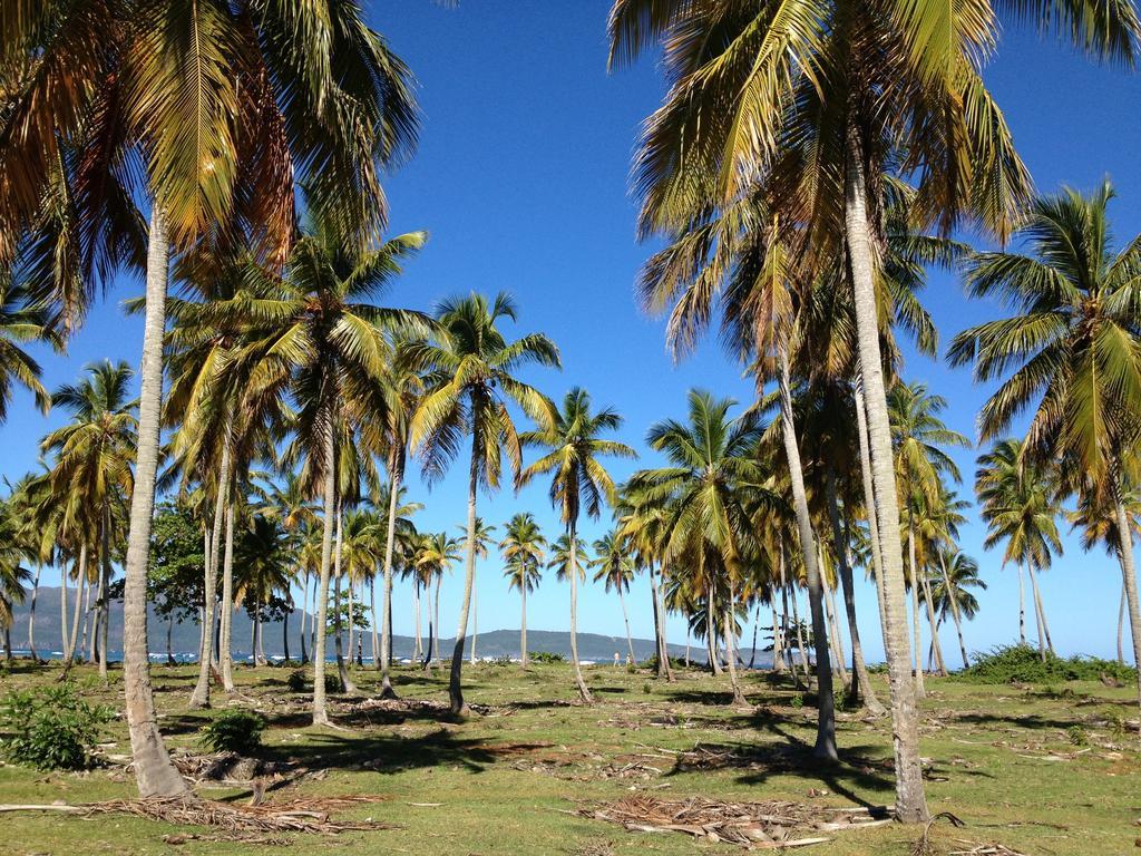 Villa La Caleta Las Galeras Extérieur photo