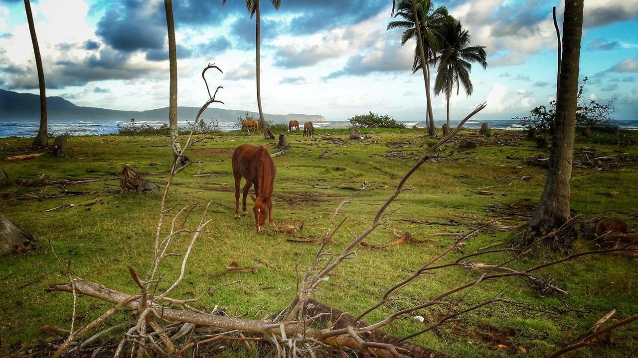 Villa La Caleta Las Galeras Extérieur photo