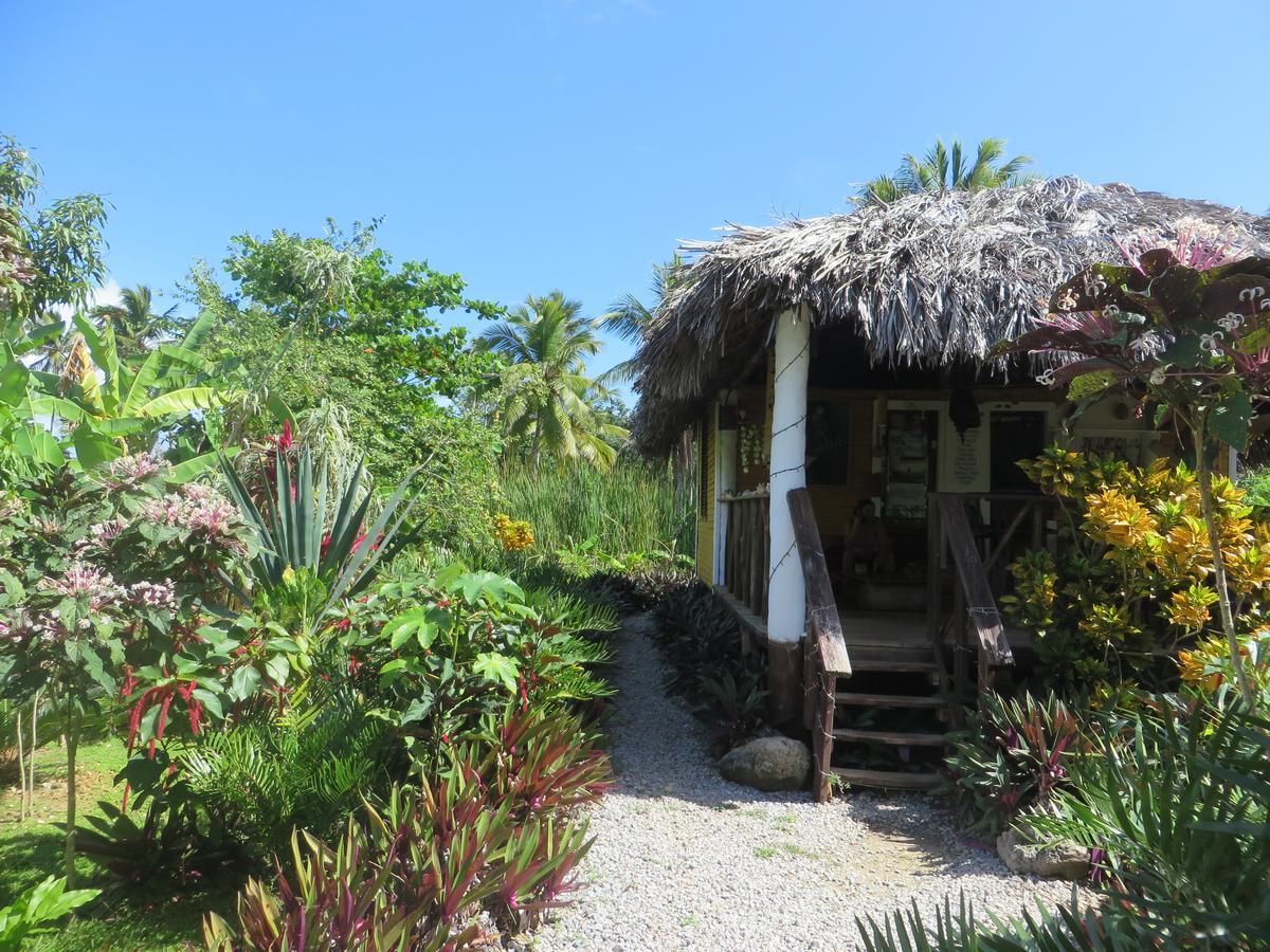 Villa La Caleta Las Galeras Extérieur photo